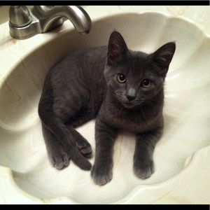 Meet your Posher, Leah